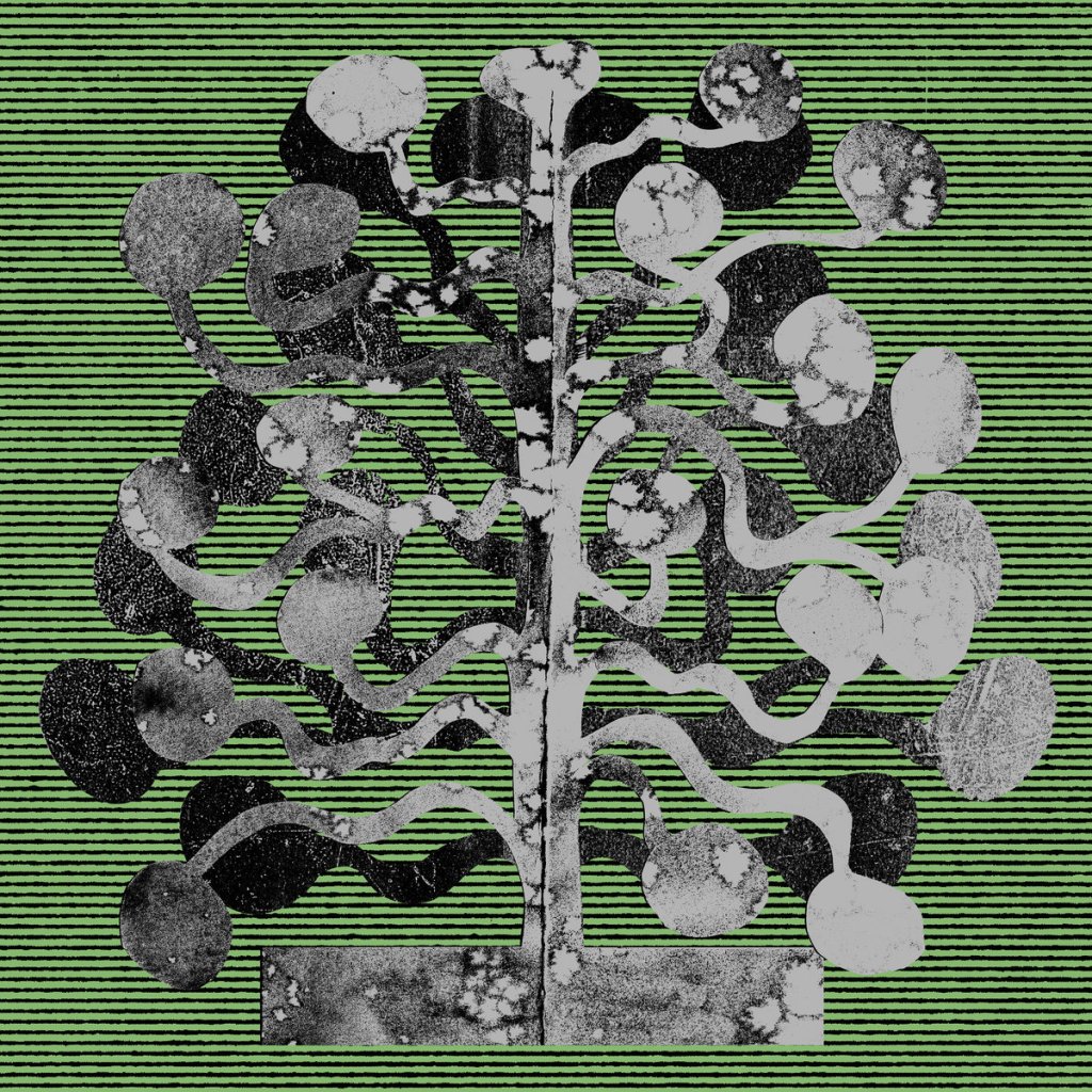 ORGAN THING: Church Andrews and Matt Davies weave intricate patterns from the Fibonacci sequence on new mini-album, Yucca…